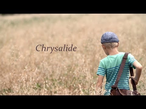 YATAL - Chrysalide