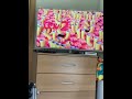 ITV2 Ident Compilation June 27th 2022