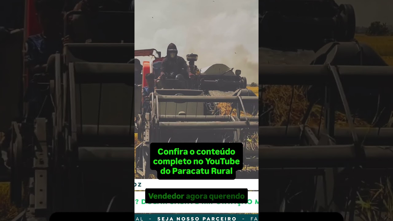 Feijão, Arroz e Trigo Vão Subir? Dólar e Clima Mexem com as Cotações.