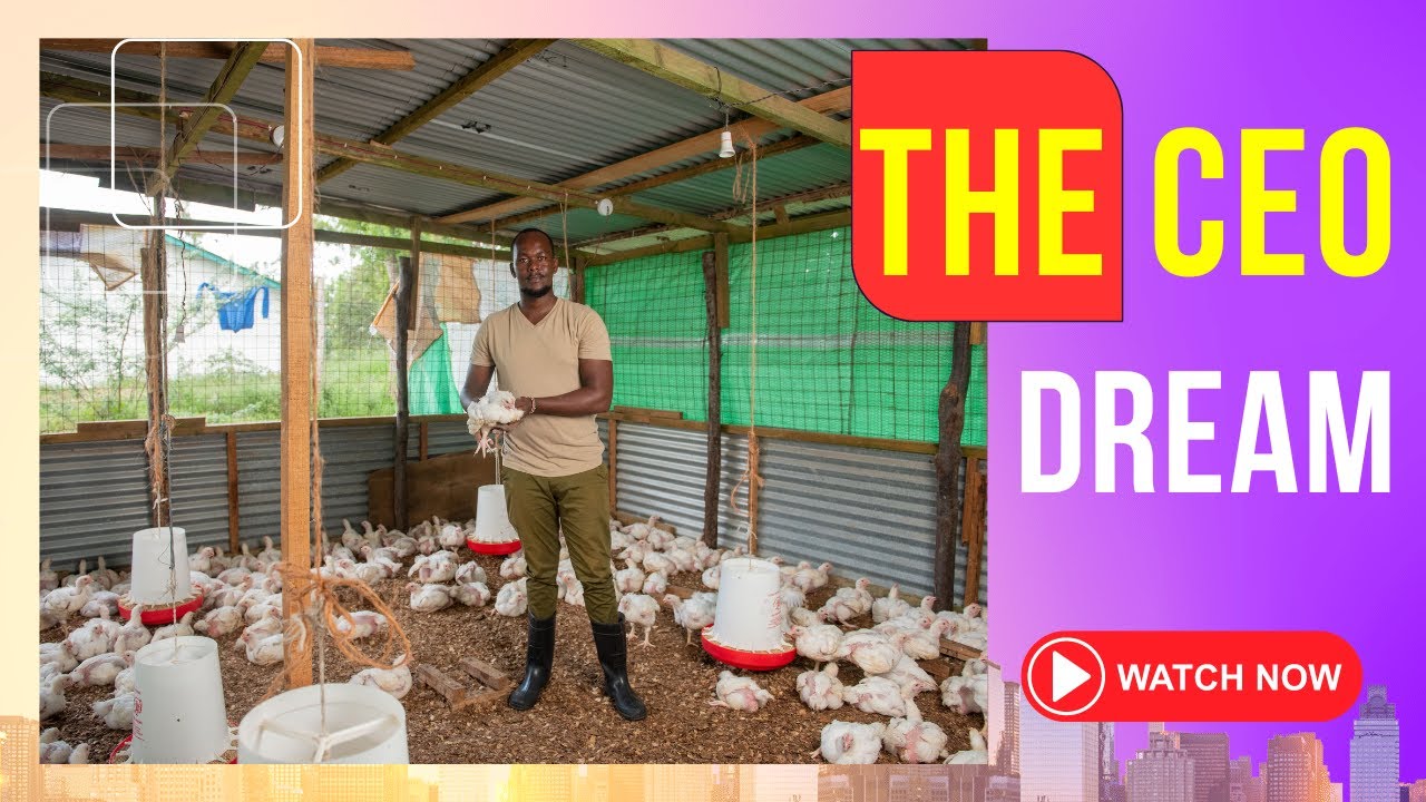 Diary of an Entrepreneur — featured video