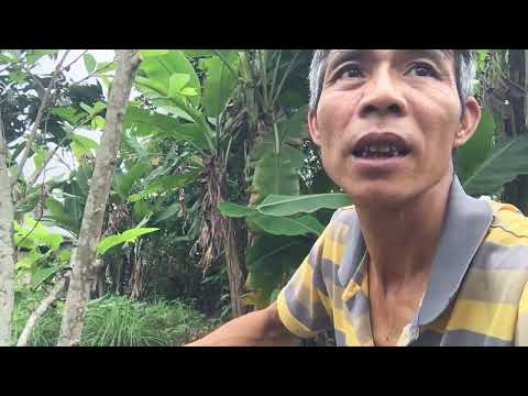 Better to learning this everyday    Teaching