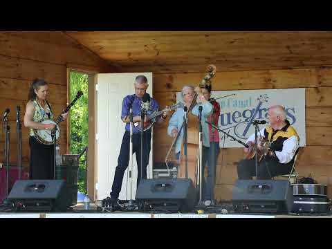 The Portrait Of The Blues - Maple Hill