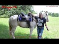 Tammy Fischer Explains All The Features Of Her Circle Y Treeless Saddles