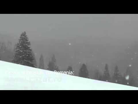 Cazare Campenesti, Cluj - Cazat.ro