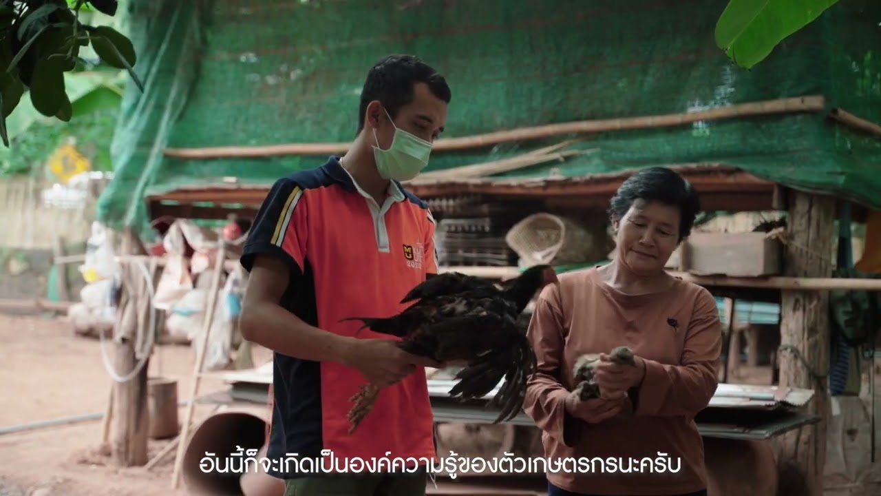 การสร้างนวัตกรชุมชนเพื่อนำไปสู่อาชีพการเลี้ยงไก่พื้นเมือง