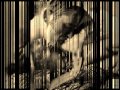 Michael Bormann - Go Going Gone.... 