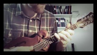 Del McCoury Band - Moneyland - mandolin solo (TABS)