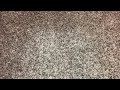 My Disney S Sing Along Songs Canadian VHS Collection Redo