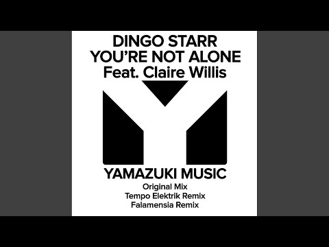 You're Not Alone (Original Club Mix)