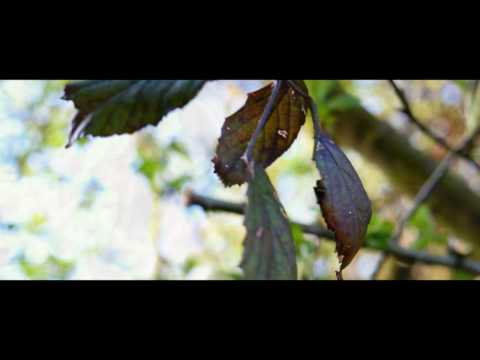 Early Spring Cinematic - 4/20/16