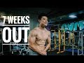 MY CURRENT PHYSIQUE?? | Modern Aesthetics Ep.2