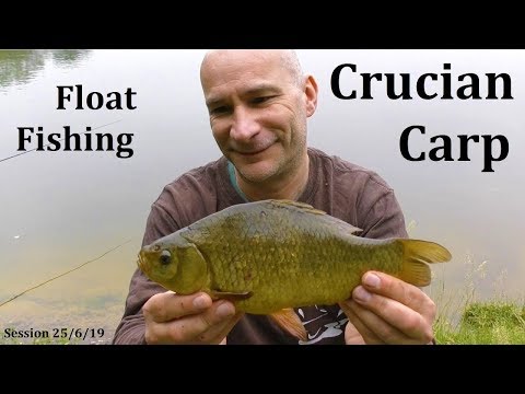 Crucians, Centrepin & Corn - Crucian Carp Fishing - 25/6/19 (Video 117)