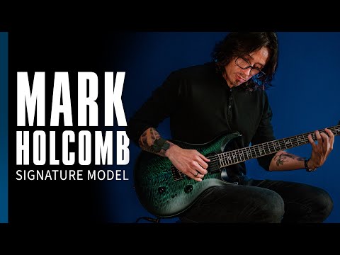 PRS Mark Holcomb Signature Model in Holcomb Wraparound Blue Burst image 10