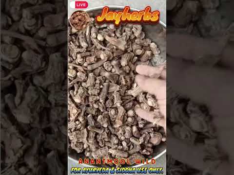 Anantmool Hemidesmus Indicus powder