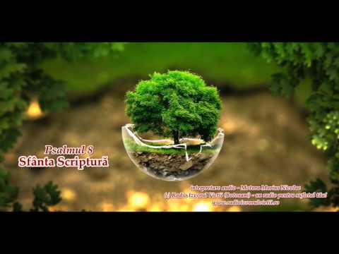 Psalmul 8 - recită Marius Motora