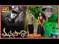 Manasara Telugu Movie Vikram Veer Sri Divya Bhanu Chander Usha Sri Ravi Babu TFC Movies