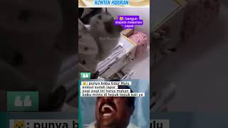 Download lagu GEMBUL BANGUNIN MAMIH‼️ #funny #lucu #shortvideo mp3