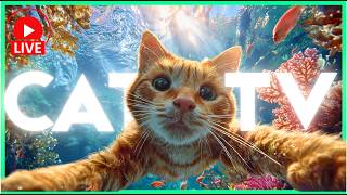 🔴[LIVE] Cat Music for Relaxation🎵 Calming Music for Cats🐱 🎵 Separation Anxiety Music for Cats Relax🔴