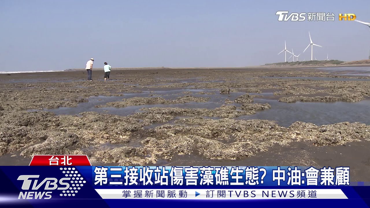第三接收站傷害藻礁生態? 中油:會兼顧