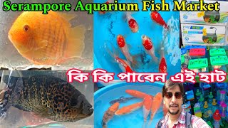Sundoor Sundoor Aquarium Fish শ্রীরামপুরের হাটে | Serampore Aquarium Fish Market | রঙিন মাছের হাট 
