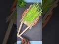 Bullock Cart Using Ice Cream Sticks Shorts Viral Diycrafts DIY