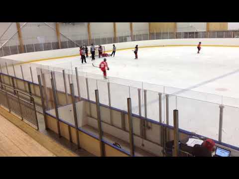 TeamSportiaCup Match #3, 2019-03-30, Örebro Hockey Ungdom Vit - Täby HC (2-9)