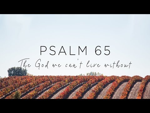 Psalm 65: The God We Can't Live Without