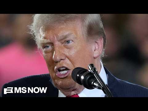 ‘Totally insane behavior’: Trump talks up his efforts to meddle with the midterms at Michigan rally