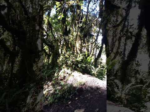 #Tungurahua #intento #cumbre #turismo #Ecuador #ambato #baños #pelileo #montañas #senderismo #sport