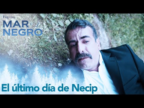 ¡Necip fue disparado! - Capítulo 65 | Fugitiva