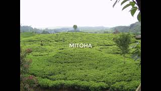 Download lagu Lagu Sunda Hetty Koes Endang Mitoha mp3