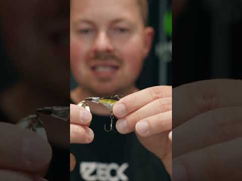 Rogue Runner - unsere neuen Jig Spinner 💯