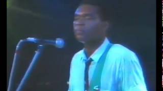 Robert Cray - Don&#39;t Touch Me Baby