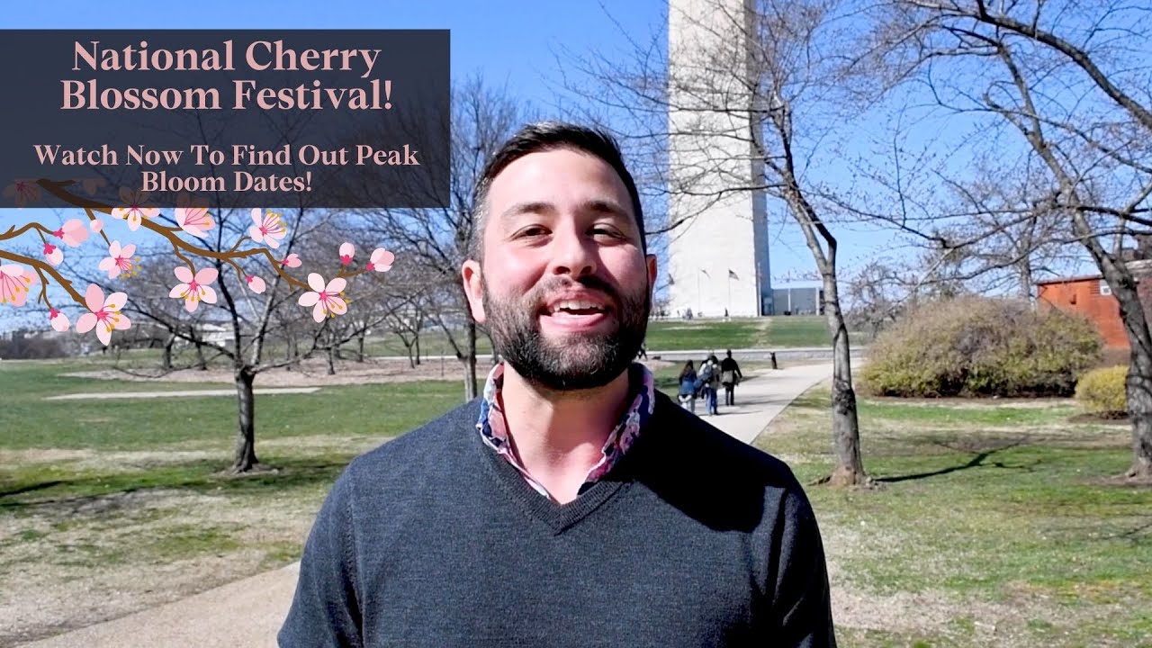 Washington DC – Cherry Blossom Festival