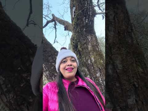 Nature's Wisdom: Finding Hope in Winter's Embrace