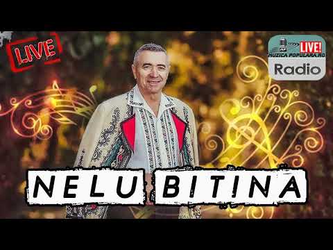 Nelu Bitana-Colaj de petrecere
