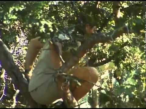 Steve Irwin The crocodile hunter - Danger danger danger !!!