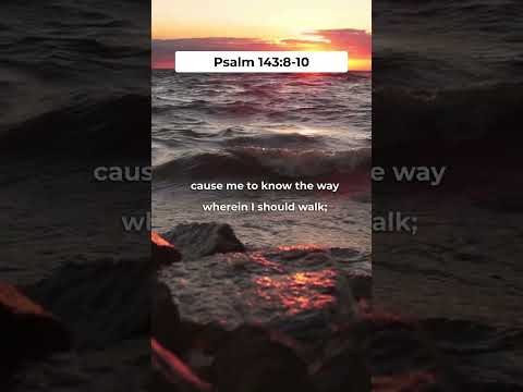 Teach me to do your will, for you are my God | Psalm 143 #shorts #bible #daily #bibleverse