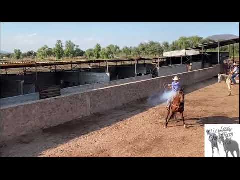 piales hafid gil uriel flores entrenamiento