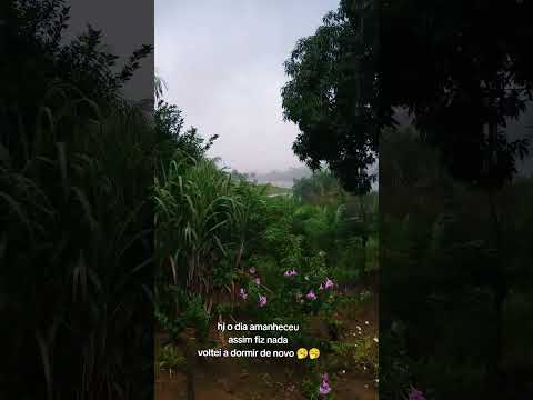 #sextou #brasil #itupiranga #para