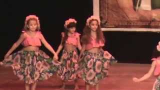 Dança do Boto Rosa