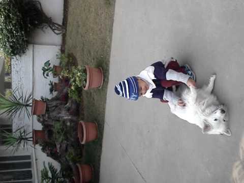 2009 10 10 Zulkifl Salman Rahim Baby Playing with Dog PAKISTAN
