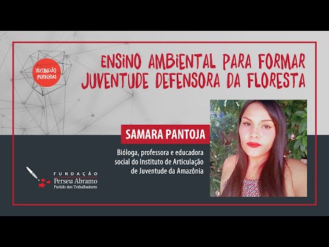 Ensino ambiental para formar a juventude que vai defender a floresta