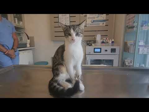 Alone on the street with a broken arm, to a new life in a safe place