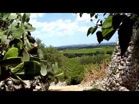 SPOT 1a EDIZIONE SAGRA MEDIEVALE CENTRO STORICO DI MONACIZZO (TA)