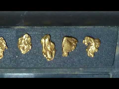 Goldmaster 24K Prospecting Detector