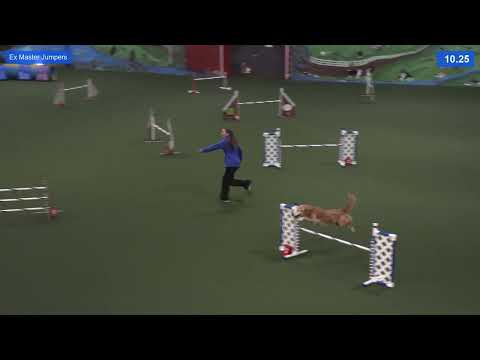 Yashica  Excellent Master Jumpers 120624