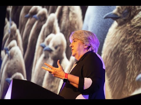 Karen Wickre on Building your network for life | #TNW2019