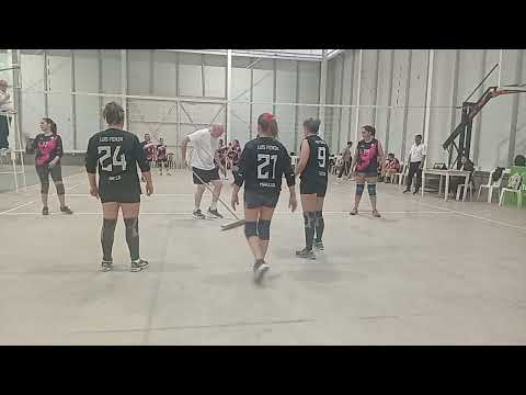 Las Fenix +40 vs Mercedes Feva Ituzaigo Corrientes 2026