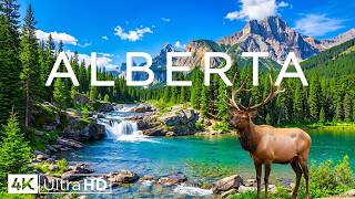 Alberta Canada 4K | Rocky Mountains, Turquoise Lakes and Vast Wilderness Landscapes